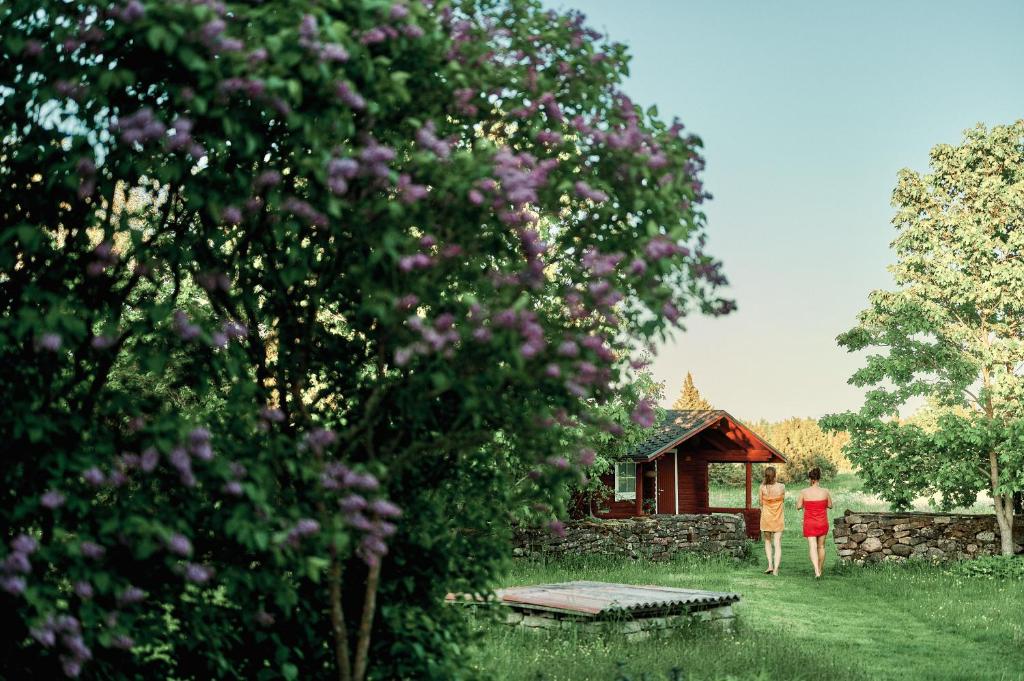 Zahrada ubytování Matsi cottage