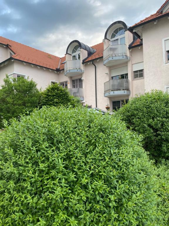 a large bush in front of a building at Ferienwohnung Lichtgalerie in Traunstein
