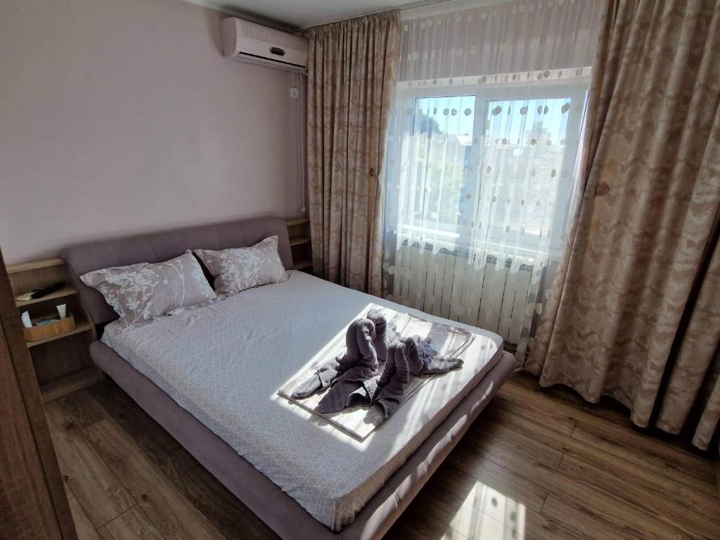 APARTAMENT Madalina Motoianu - Housity