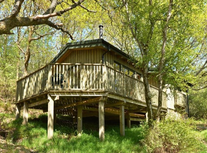 a large wooden tree house in the woods at Chapel House in Torridon