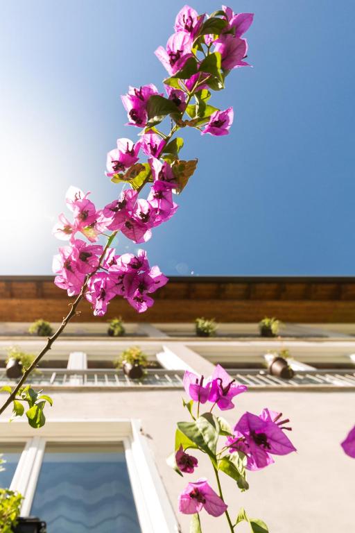 Fotografie z fotogalerie ubytování Hotel Canarino v destinaci Riva del Garda