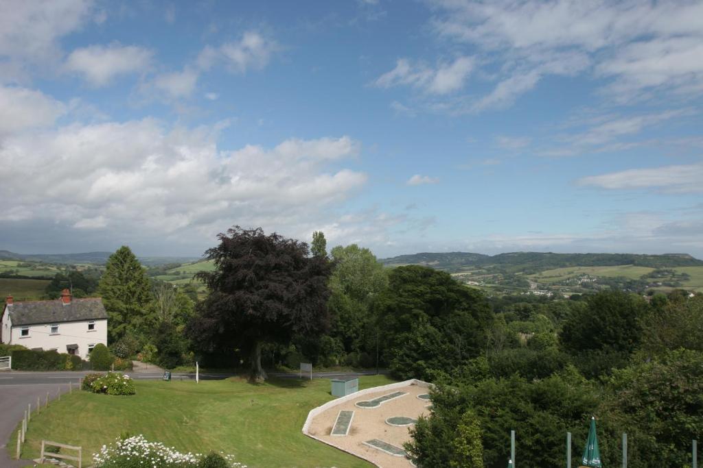 a house on a hill with a road and trees at Fernhill Hotel in Lyme Regis