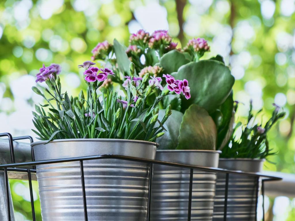 Apartment SCHILLER I - Erfurt Zentrum - 16