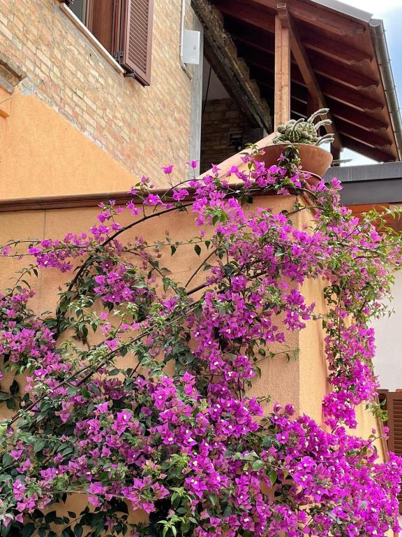 a bunch of purple flowers on the side of a building at Casa Drema - Villa al mare con terrazza in Pescara