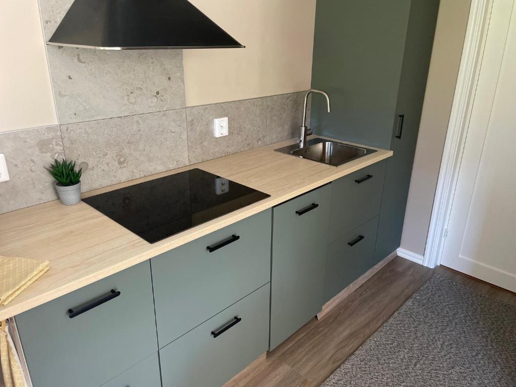 a kitchen with a sink and a counter at Hallonet in Alingsås