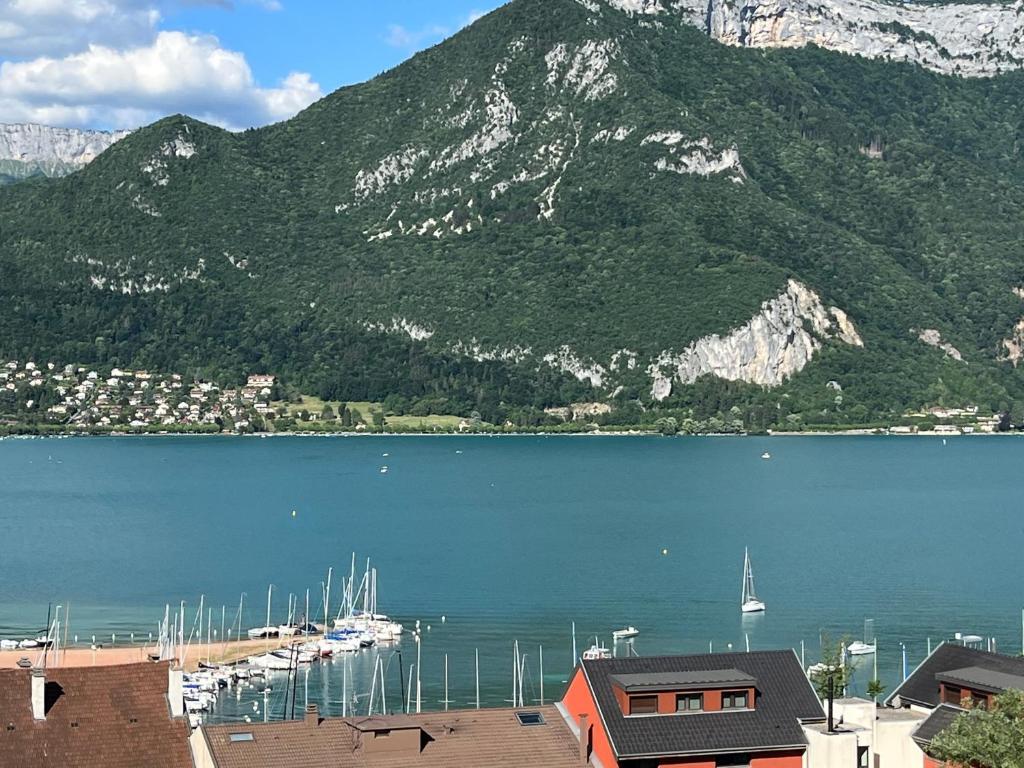 a large body of water with boats docked next to a mountain at LE SAPHIR in Annecy