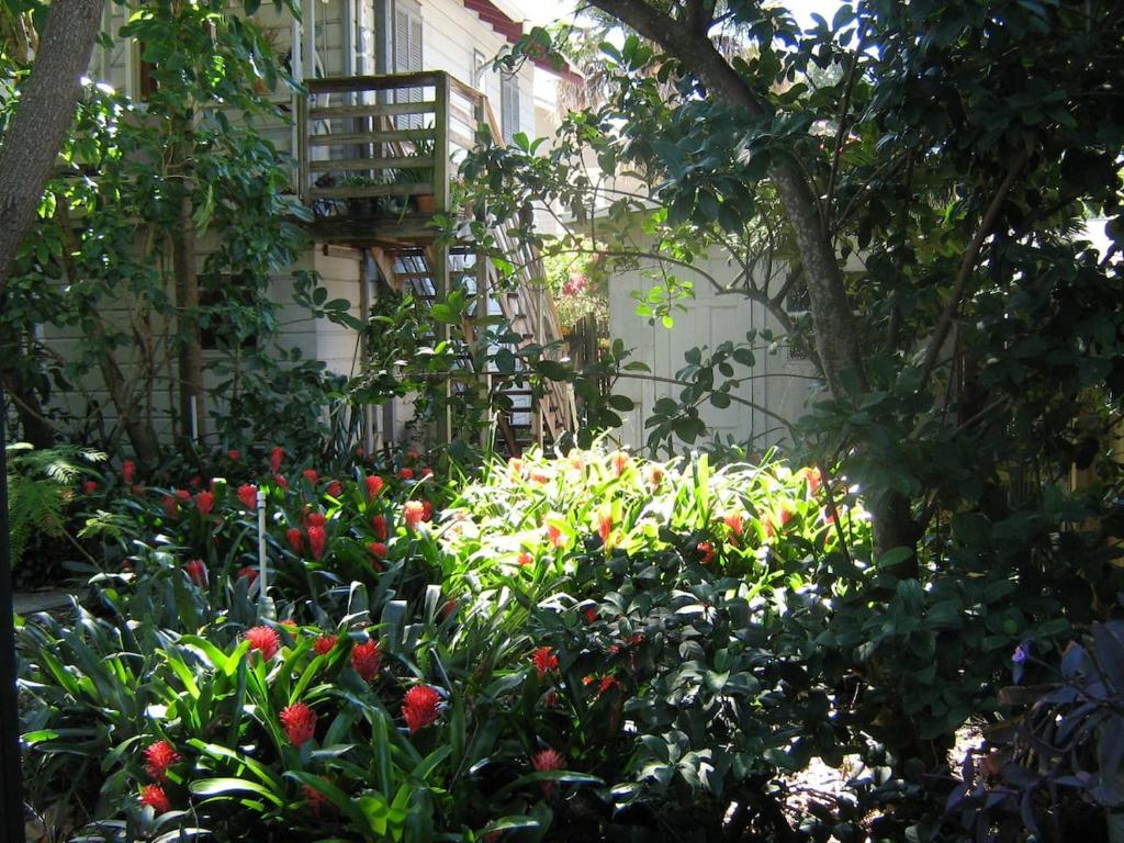 a garden with flowers in front of a building at The Treehouse in St Petersburg