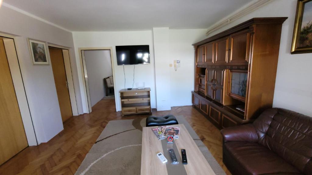 TV a/nebo společenská místnost v ubytování Apartman Progresso