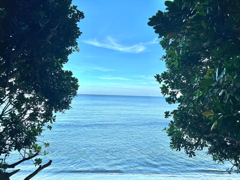 a view of the ocean from between two trees at Villa Lippo carita langsung pantai 3bedroom in Pandegelang