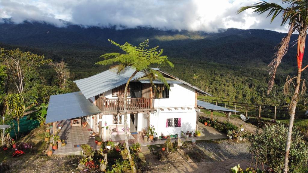 Hostal de la montaña ecoturismo في Mocoa: منزل على تلة مع نخلة