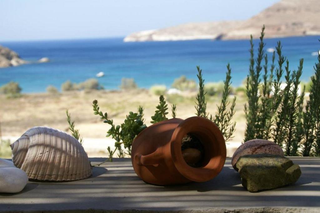 a group of shells and a vase on a table with the beach at Serifos Dream Houses near the sea in Ganema