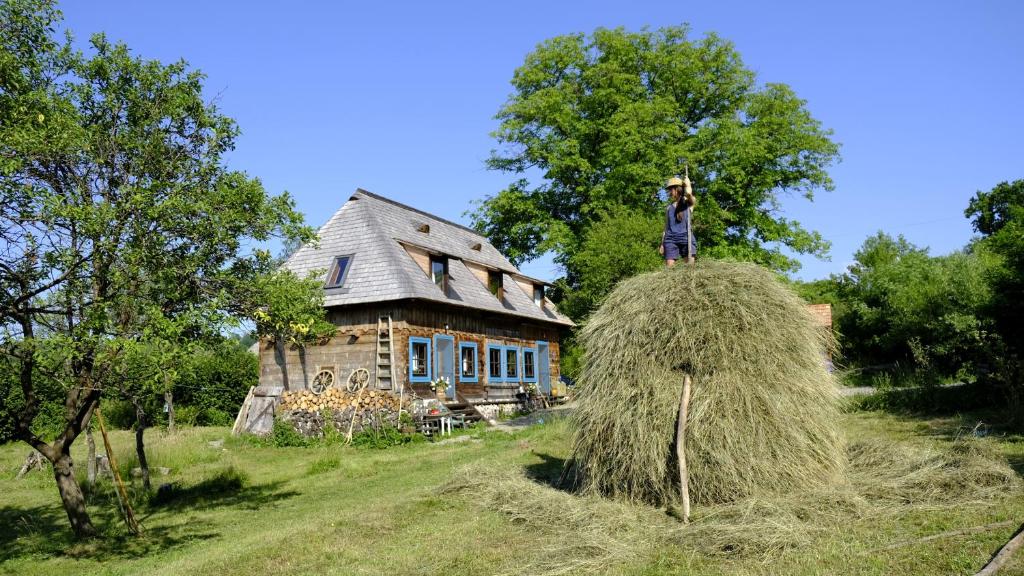 a person standing on top of a hay pile in front of a house at Big family Apartment in Breb's Cosy Barn in Breb