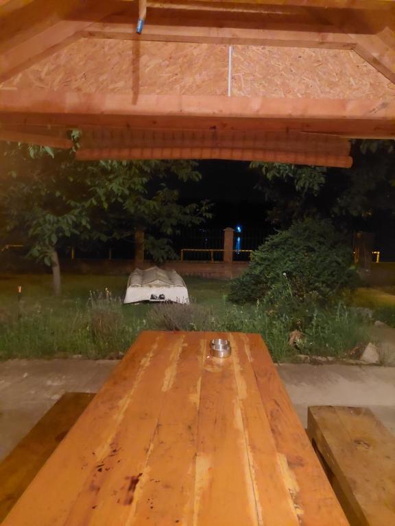 Fotografie z fotogalerie ubytování Vila Ljubomir - Srebrno Jezero v destinaci Kisiljevo