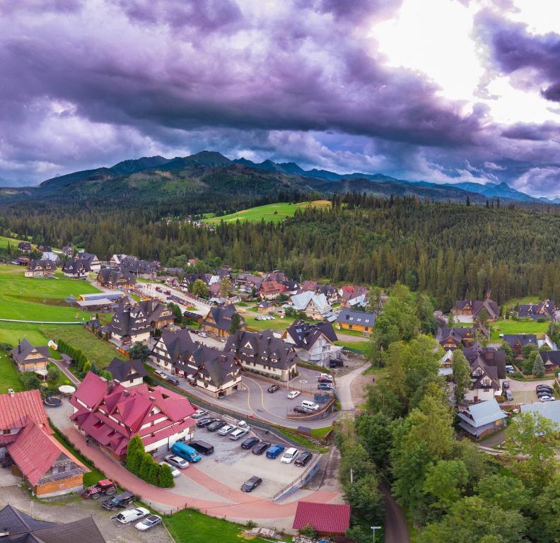 an aerial view of a small town in the mountains at U Hanki in Małe Ciche