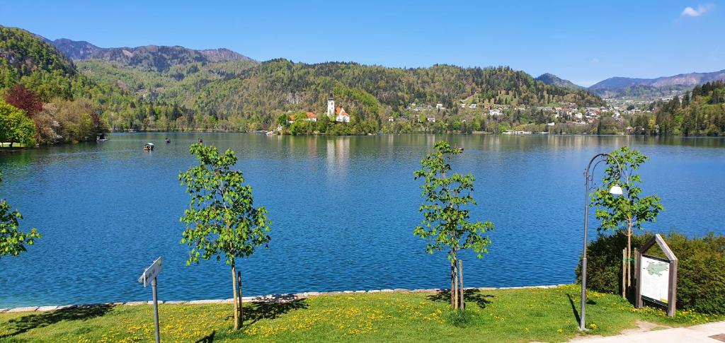 Fotografie z fotogalerie ubytování Apartma Panorama v Bledu