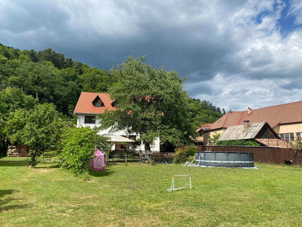Zahrada ubytování Casa Bucataria Fonix