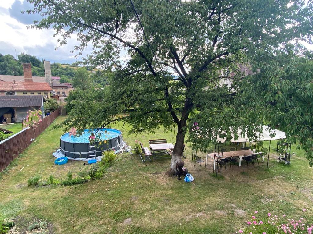 Zahrada ubytování Casa Bucataria Fonix