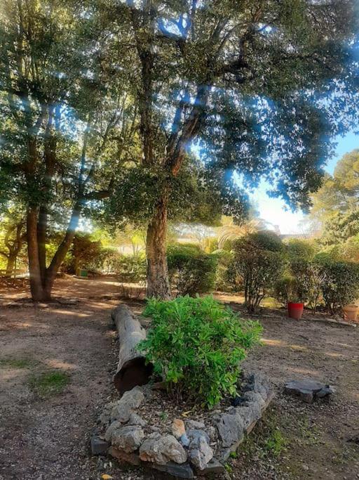 Vonkajšia záhrada v ubytovaní Appartement à Fréjus