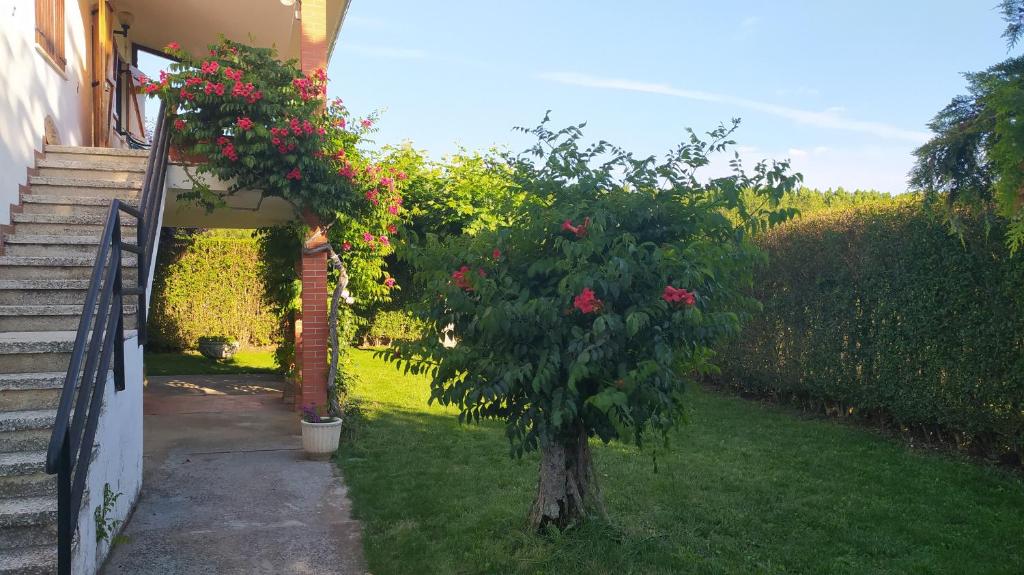 Zahrada ubytování Chalet en el Orbigo