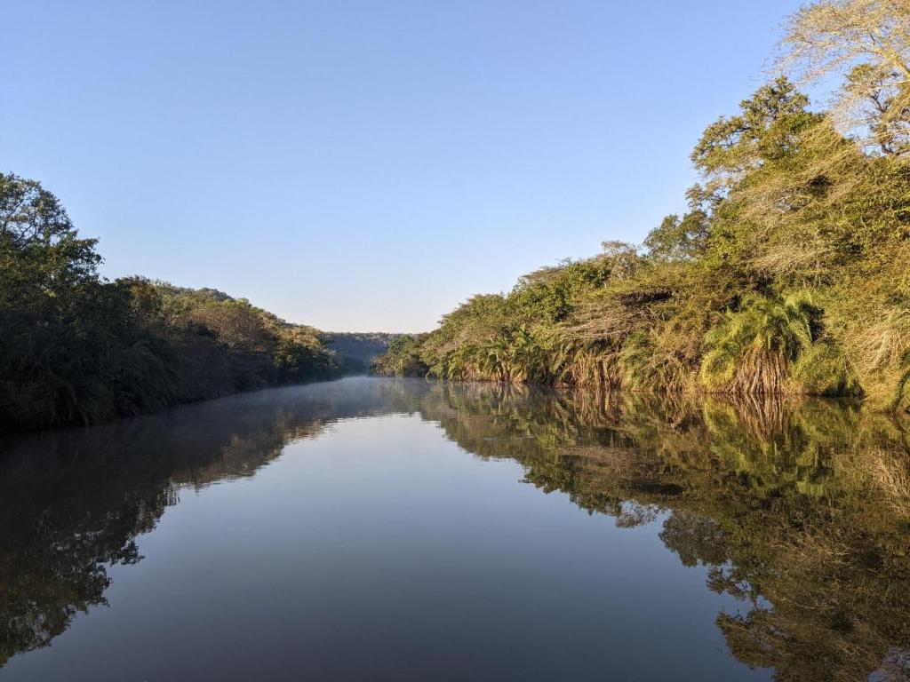 Simunye的住宿－Mbuluzi Game Reserve，一条有树的河