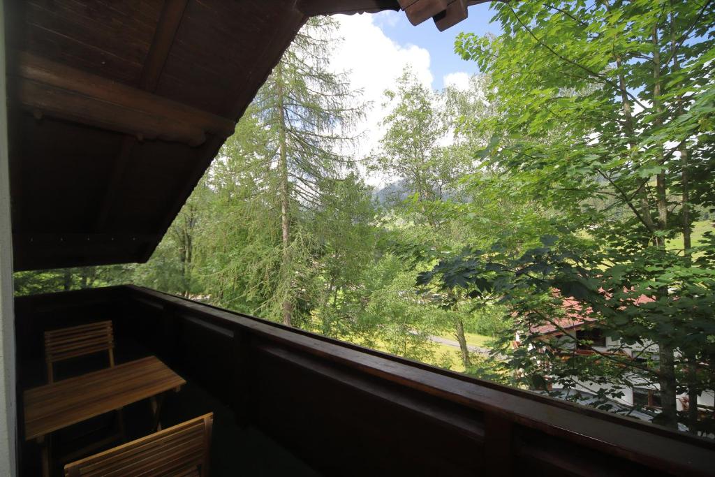 Príroda v okolí apartmánu