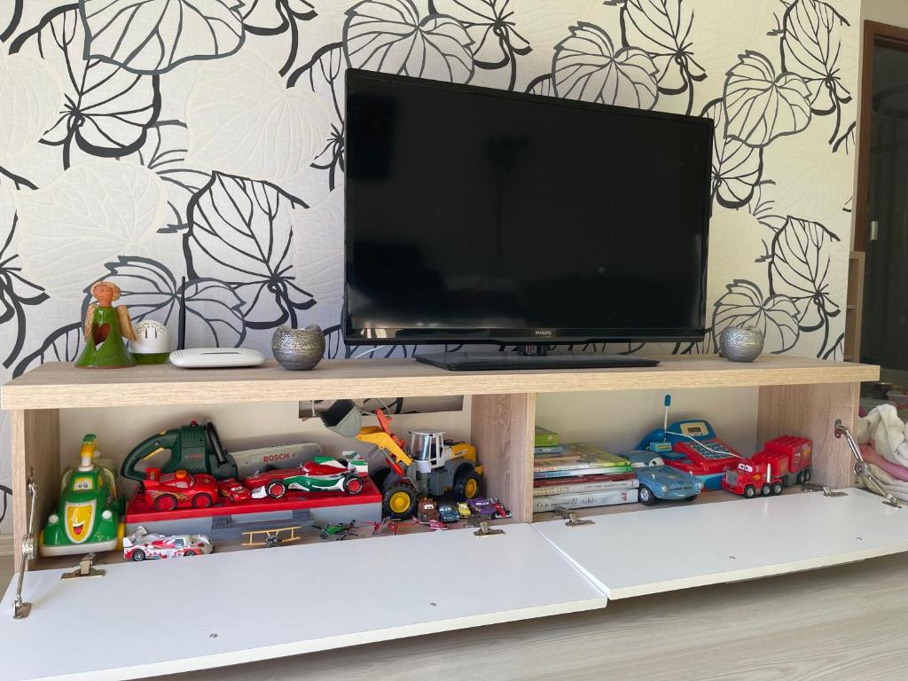 TV a/nebo společenská místnost v ubytování Apartment Bonita Tále