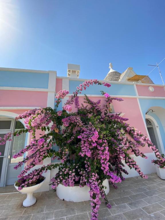 Trullo Sovrano Exclusive B&B