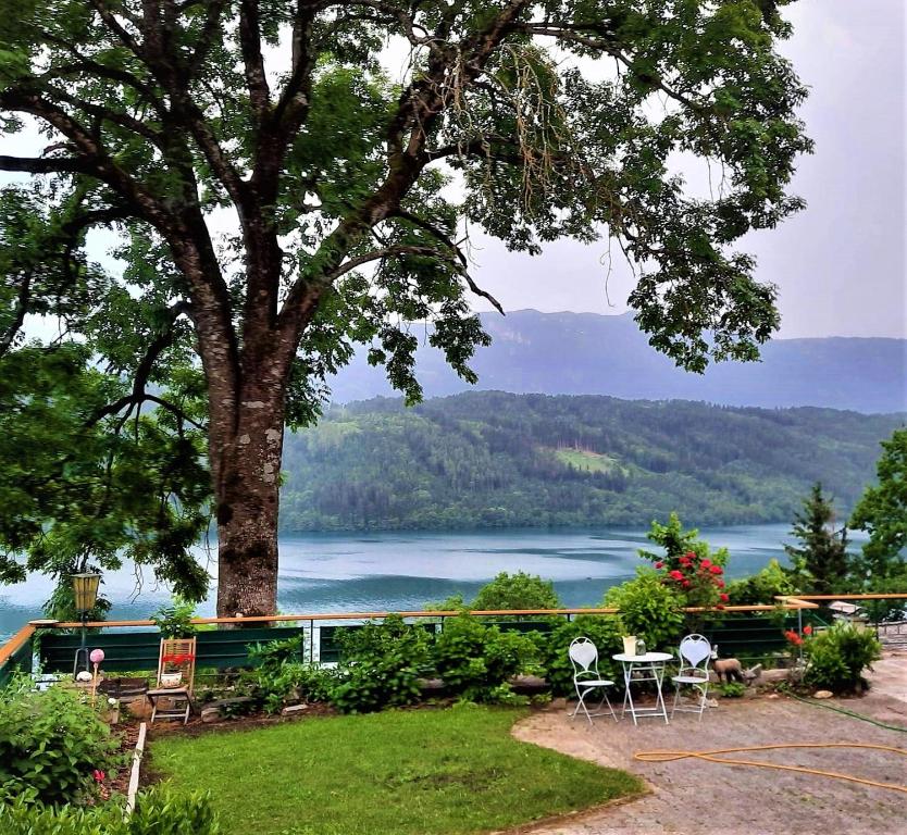 a view of a lake with chairs and a tree at Landhaus Tangern in Millstatt