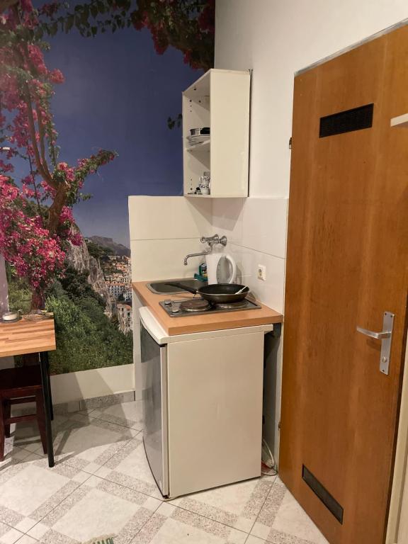 A kitchen or kitchenette at Viktoria ARTUR