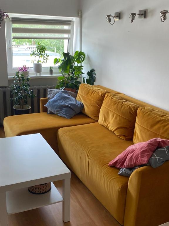 グディニャにあるApartament Śnieżka Centrumの植物のあるリビングルームの黄色いソファ