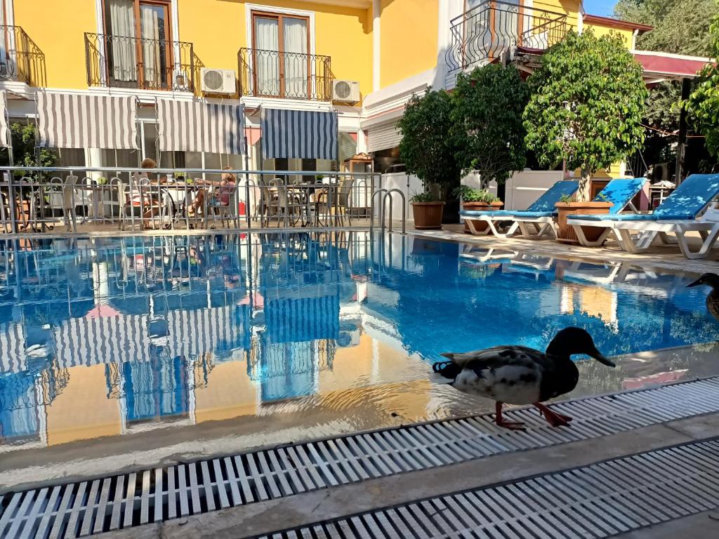 Bazén v ubytování Hotel Barlas Fethiye nebo v jeho okolí