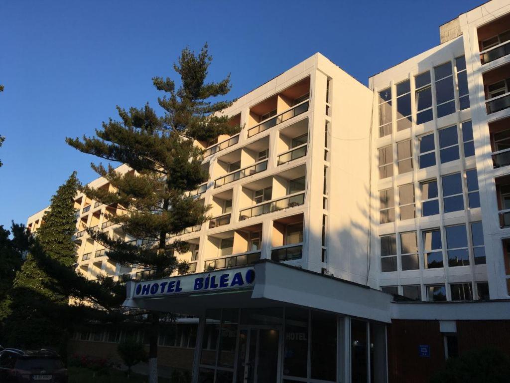 Hotel Bâlea