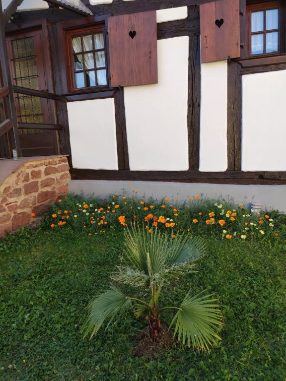 Zahrada ubytování Gîte Hecker Alsace
