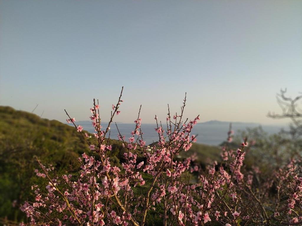 Príroda v okolí dovolenkového domu