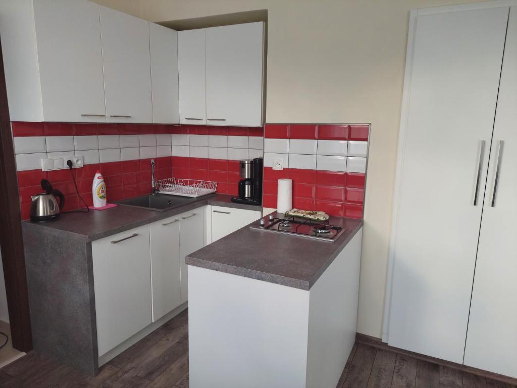 Kuchyň nebo kuchyňský kout v ubytování Apartmány U Mariánské kaple