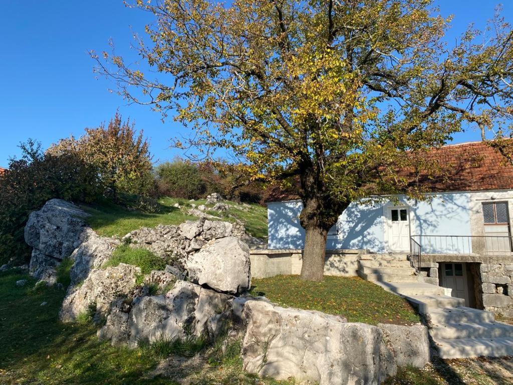 ein Baum vor einem Haus mit Felsen in der Unterkunft Back to Basics in Nikšić