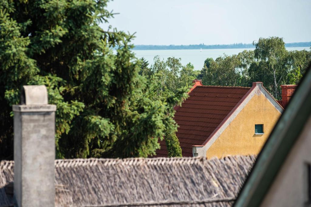 Příroda nedaleko penzionu