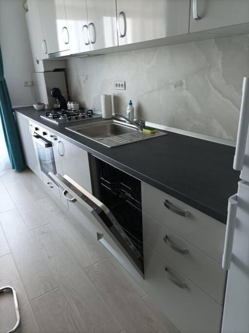 Kuchyň nebo kuchyňský kout v ubytování REBREANU RESIDENCE LUX APARTMEN