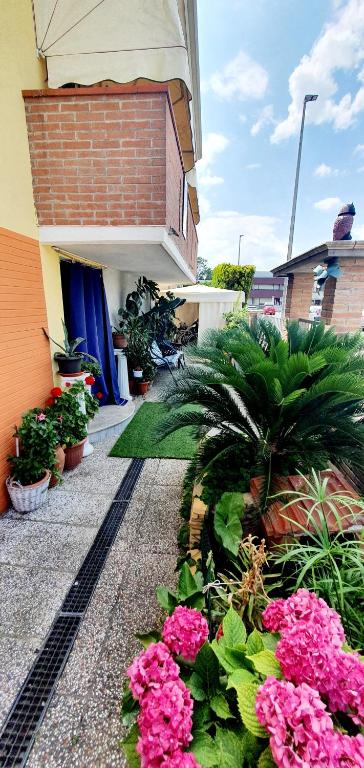 a garden with pink flowers in front of a building at Bed& Breakfast G&G in Porto Garibaldi