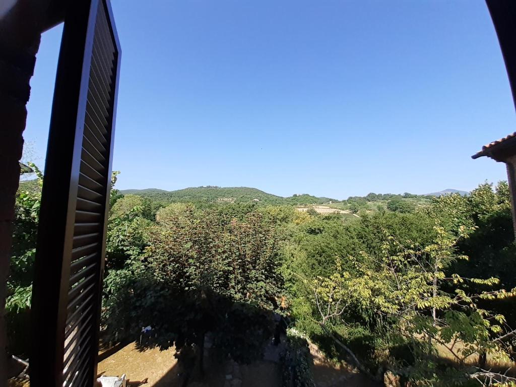 Palazzone的住宿－Villa Le Palmine，从树木繁茂的房屋阳台欣赏风景