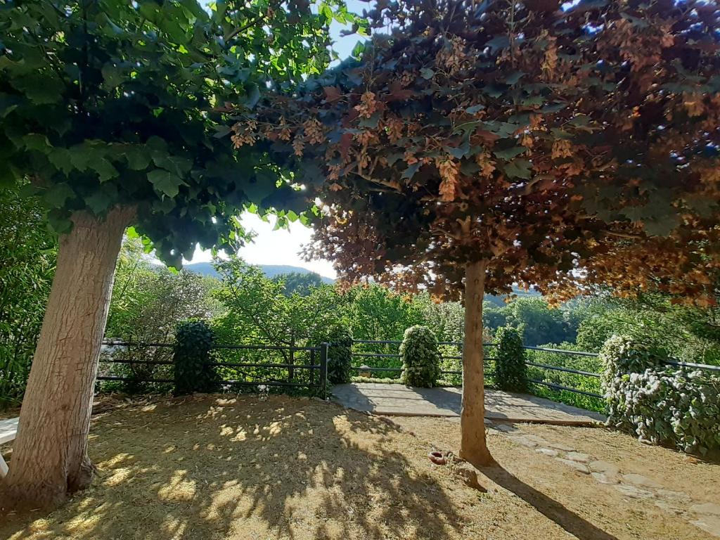 Vonkajšia záhrada v ubytovaní Villa Le Palmine