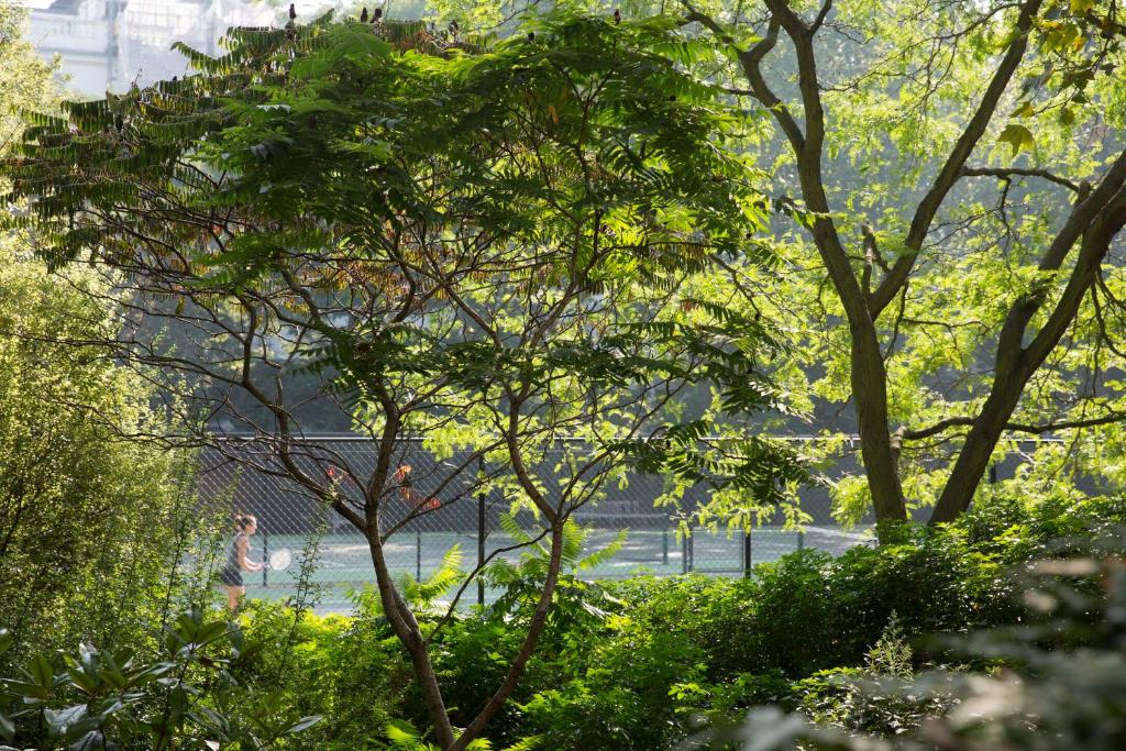 Jumeirah Carlton Tower London - Resim 15