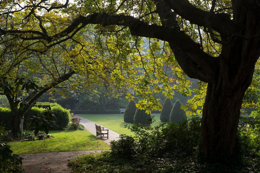 Jumeirah Carlton Tower London - Resim 16