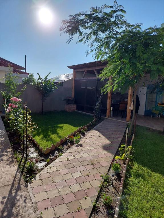 Zahrada ubytování ALBDEVARA MAR SRL
