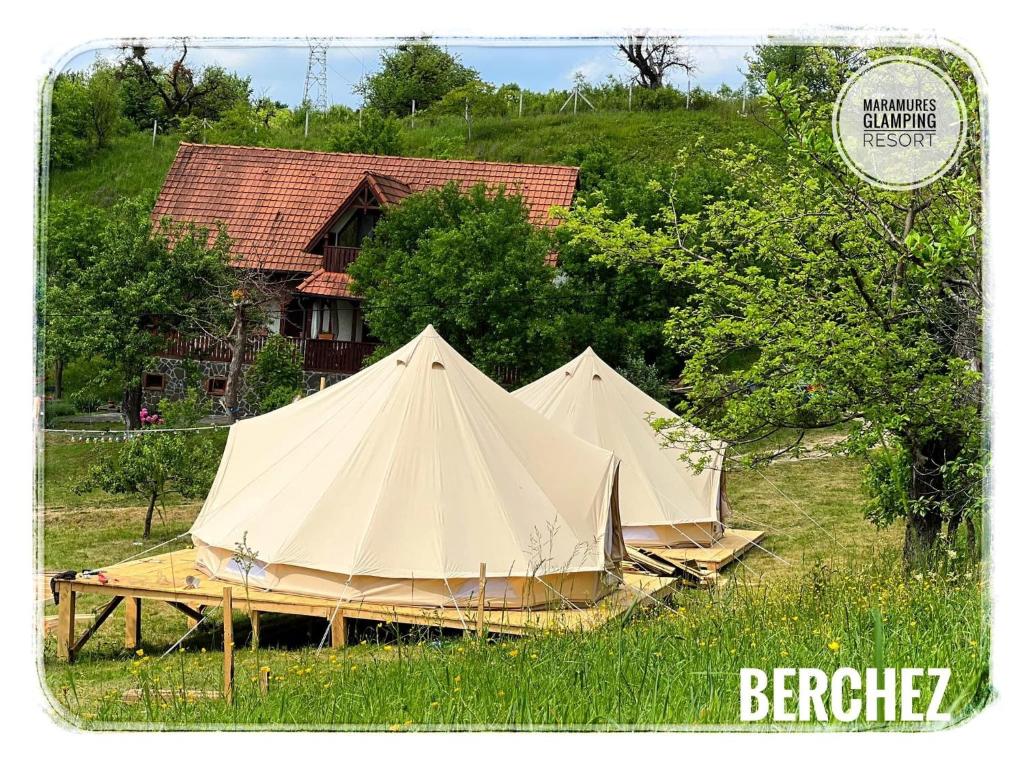 Příroda nedaleko luxury tent