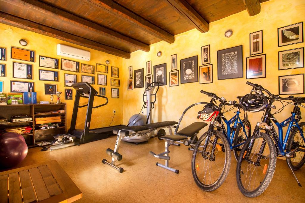 Fitness centrum a/nebo fitness zařízení v ubytování Samonas - Red villa Fliskouni