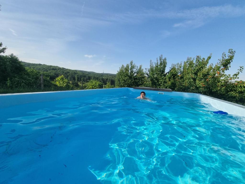 Ein Mann, der in einem großen blauen Pool schwimmt. in der Unterkunft HOOPOVO HOUSE Fruška gora in Irig