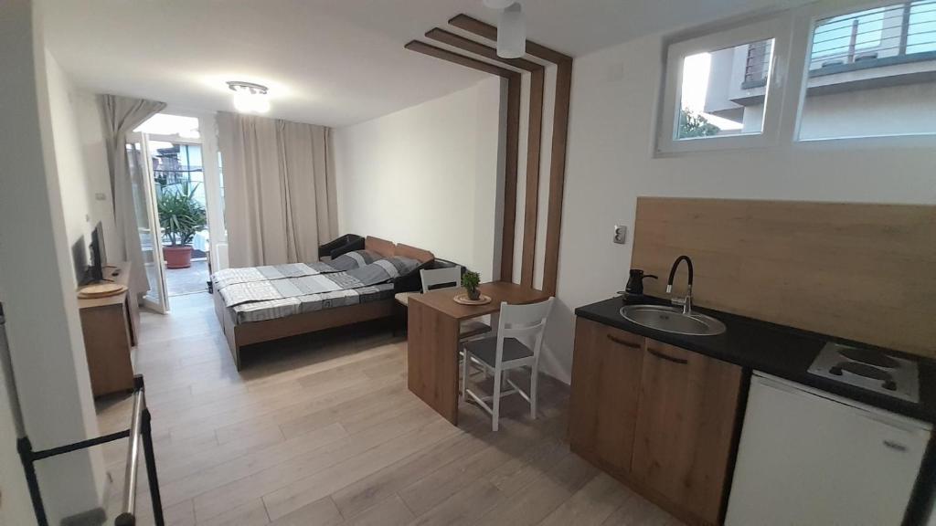 een kamer met een keuken en een woonkamer bij Tija Apartments in Ohrid