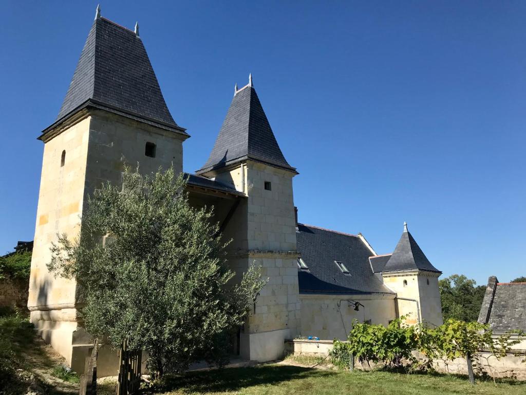 Fotografia z galérie ubytovania Logis Escale vue Loire, piscine semi-troglodyte v destinácii Trèves-Cunault