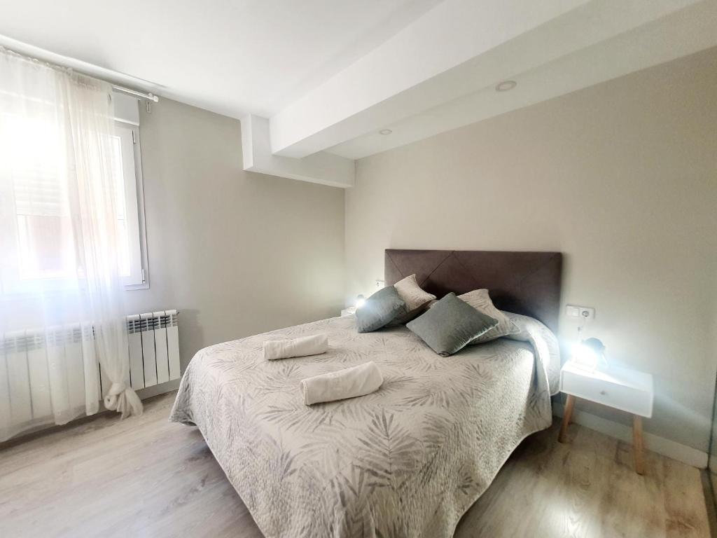 1 dormitorio con 1 cama con 2 almohadas en Estudios los Arcos en Teruel